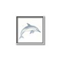 Picture of Dolphin _GroupedProduct_Square_Mini_ _GroupedProduct_Square_Canvas_Framed_