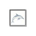Picture of Dolphin _GroupedProduct_Square_Mini_ _GroupedProduct_Square_Canvas_Framed_