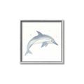 Picture of Dolphin _GroupedProduct_Square_Mini_ _GroupedProduct_Square_Canvas_Framed_