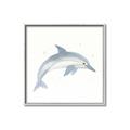 Picture of Dolphin _GroupedProduct_Square_Mini_ _GroupedProduct_Square_Canvas_Framed_