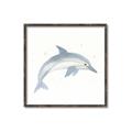 Picture of Dolphin _GroupedProduct_Square_Mini_ _GroupedProduct_Square_Canvas_Framed_