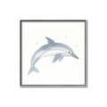 Picture of Dolphin _GroupedProduct_Square_Mini_ _GroupedProduct_Square_Canvas_Framed_