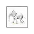 Picture of Jungle Elephant _GroupedProduct_Square_Mini_ _GroupedProduct_Square_Canvas_Framed_