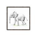 Picture of Jungle Elephant _GroupedProduct_Square_Mini_ _GroupedProduct_Square_Canvas_Framed_