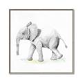 Picture of Jungle Elephant _GroupedProduct_Square_Mini_ _GroupedProduct_Square_Canvas_Framed_