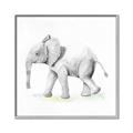 Picture of Jungle Elephant _GroupedProduct_Square_Mini_ _GroupedProduct_Square_Canvas_Framed_
