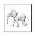 Picture of Jungle Elephant _GroupedProduct_Square_Mini_ _GroupedProduct_Square_Canvas_Framed_
