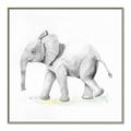Picture of Jungle Elephant _GroupedProduct_Square_Mini_ _GroupedProduct_Square_Canvas_Framed_