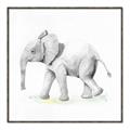 Picture of Jungle Elephant _GroupedProduct_Square_Mini_ _GroupedProduct_Square_Canvas_Framed_