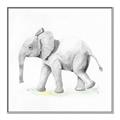 Picture of Jungle Elephant _GroupedProduct_Square_Mini_ _GroupedProduct_Square_Canvas_Framed_