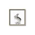 Picture of Bunny II-M _GroupedProduct_Square_Mini_ _GroupedProduct_Square_Canvas_Framed_