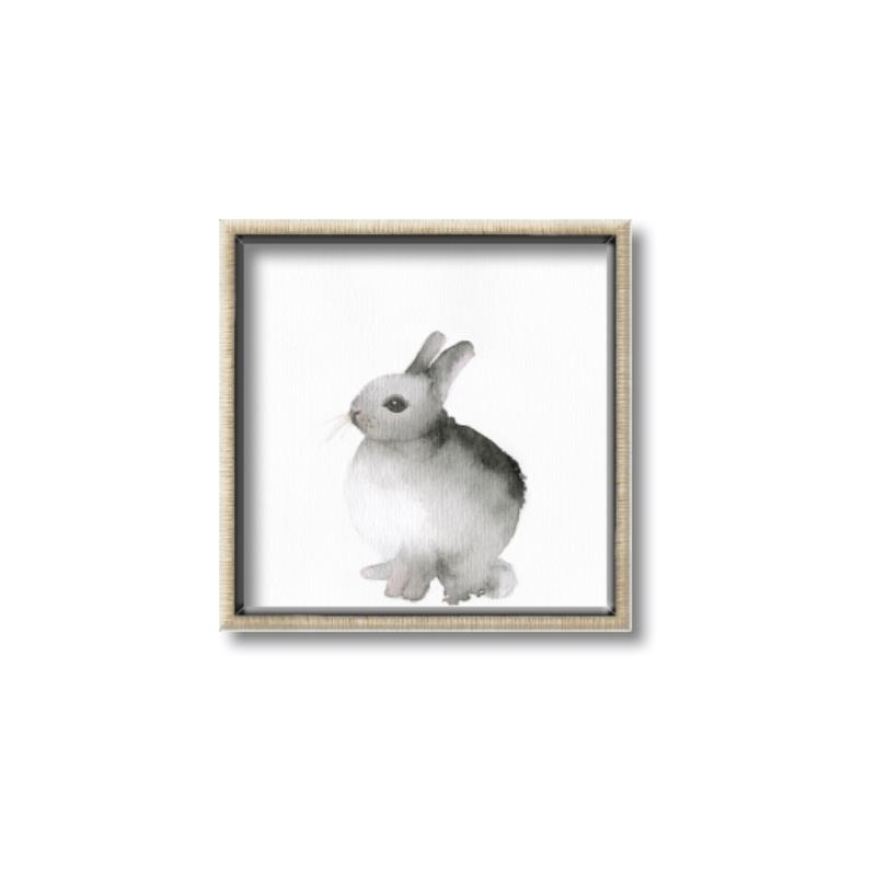 Picture of Bunny II-M _GroupedProduct_Square_Mini_ _GroupedProduct_Square_Canvas_Framed_
