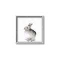 Picture of Bunny II-M _GroupedProduct_Square_Mini_ _GroupedProduct_Square_Canvas_Framed_
