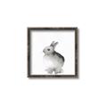 Picture of Bunny II-M _GroupedProduct_Square_Mini_ _GroupedProduct_Square_Canvas_Framed_