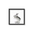 Picture of Bunny II-M _GroupedProduct_Square_Mini_ _GroupedProduct_Square_Canvas_Framed_