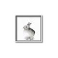 Picture of Bunny II-M _GroupedProduct_Square_Mini_ _GroupedProduct_Square_Canvas_Framed_