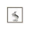 Picture of Bunny II-M _GroupedProduct_Square_Mini_ _GroupedProduct_Square_Canvas_Framed_