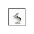 Picture of Bunny II-M _GroupedProduct_Square_Mini_ _GroupedProduct_Square_Canvas_Framed_