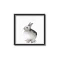 Picture of Bunny II-M _GroupedProduct_Square_Mini_ _GroupedProduct_Square_Canvas_Framed_