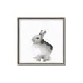 Picture of Bunny II-M _GroupedProduct_Square_Mini_ _GroupedProduct_Square_Canvas_Framed_