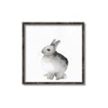 Picture of Bunny II-M _GroupedProduct_Square_Mini_ _GroupedProduct_Square_Canvas_Framed_