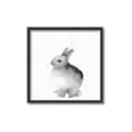 Picture of Bunny II-M _GroupedProduct_Square_Mini_ _GroupedProduct_Square_Canvas_Framed_
