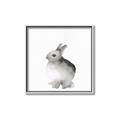Picture of Bunny II-M _GroupedProduct_Square_Mini_ _GroupedProduct_Square_Canvas_Framed_