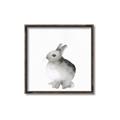 Picture of Bunny II-M _GroupedProduct_Square_Mini_ _GroupedProduct_Square_Canvas_Framed_