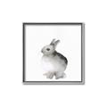 Picture of Bunny II-M _GroupedProduct_Square_Mini_ _GroupedProduct_Square_Canvas_Framed_
