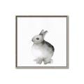 Picture of Bunny II-M _GroupedProduct_Square_Mini_ _GroupedProduct_Square_Canvas_Framed_