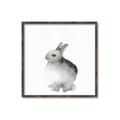 Picture of Bunny II-M _GroupedProduct_Square_Mini_ _GroupedProduct_Square_Canvas_Framed_