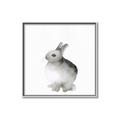 Picture of Bunny II-M _GroupedProduct_Square_Mini_ _GroupedProduct_Square_Canvas_Framed_