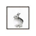 Picture of Bunny II-M _GroupedProduct_Square_Mini_ _GroupedProduct_Square_Canvas_Framed_
