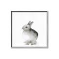 Picture of Bunny II-M _GroupedProduct_Square_Mini_ _GroupedProduct_Square_Canvas_Framed_