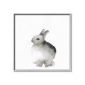 Picture of Bunny II-M _GroupedProduct_Square_Mini_ _GroupedProduct_Square_Canvas_Framed_