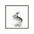 Picture of Bunny II-M _GroupedProduct_Square_Mini_ _GroupedProduct_Square_Canvas_Framed_