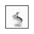 Picture of Bunny II-M _GroupedProduct_Square_Mini_ _GroupedProduct_Square_Canvas_Framed_