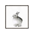 Picture of Bunny II-M _GroupedProduct_Square_Mini_ _GroupedProduct_Square_Canvas_Framed_