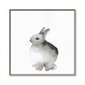 Picture of Bunny II-M _GroupedProduct_Square_Mini_ _GroupedProduct_Square_Canvas_Framed_