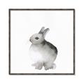 Picture of Bunny II-M _GroupedProduct_Square_Mini_ _GroupedProduct_Square_Canvas_Framed_
