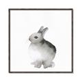 Picture of Bunny II-M _GroupedProduct_Square_Mini_ _GroupedProduct_Square_Canvas_Framed_