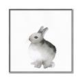 Picture of Bunny II-M _GroupedProduct_Square_Mini_ _GroupedProduct_Square_Canvas_Framed_