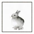 Picture of Bunny II-M _GroupedProduct_Square_Mini_ _GroupedProduct_Square_Canvas_Framed_