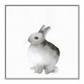 Picture of Bunny II-M _GroupedProduct_Square_Mini_ _GroupedProduct_Square_Canvas_Framed_