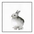 Picture of Bunny II-M _GroupedProduct_Square_Mini_ _GroupedProduct_Square_Canvas_Framed_