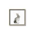 Picture of Bunny I-M _GroupedProduct_Square_Mini_ _GroupedProduct_Square_Canvas_Framed_