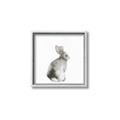 Picture of Bunny I-M _GroupedProduct_Square_Mini_ _GroupedProduct_Square_Canvas_Framed_