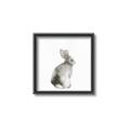 Picture of Bunny I-M _GroupedProduct_Square_Mini_ _GroupedProduct_Square_Canvas_Framed_