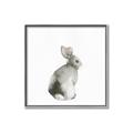 Picture of Bunny I-M _GroupedProduct_Square_Mini_ _GroupedProduct_Square_Canvas_Framed_
