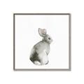 Picture of Bunny I-M _GroupedProduct_Square_Mini_ _GroupedProduct_Square_Canvas_Framed_